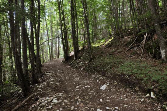 Montée en forêt vers le hameau isolé de la Goulandiere