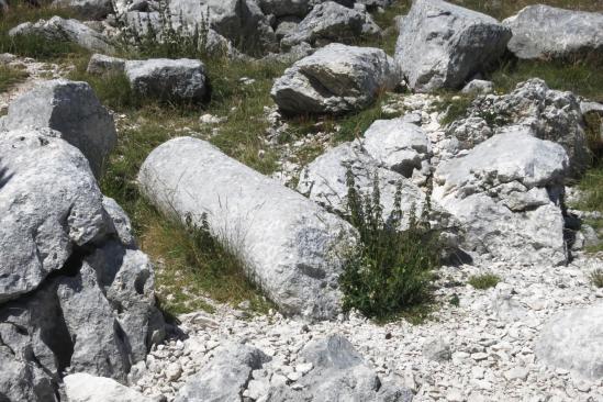 La carrière romaine de la plaine de la Queyrie