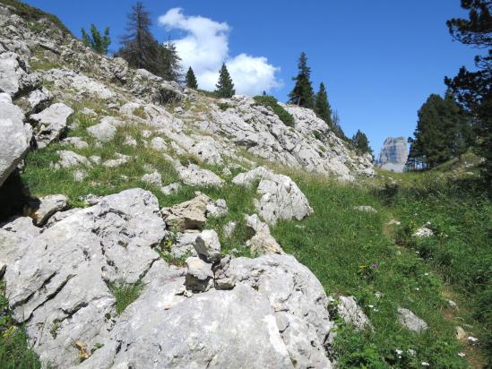 Le petit vallon en cul-de-sac que l'on parcourt au tout début du sentier des Rochers du Parquet