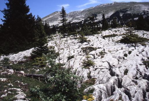 Au bord des lapiaz du côté de la Tiolache