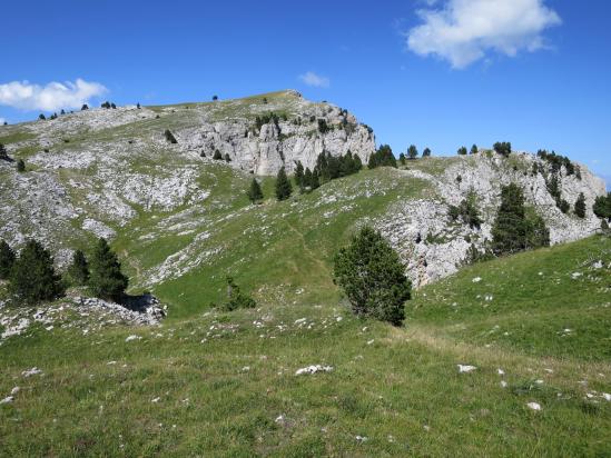 Sur la partie dégagée du sentier des Rochers du Parquet (Rocher de Chamoux)