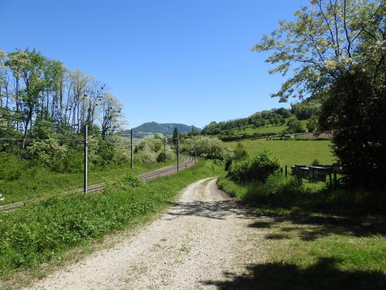 Le long de la voie ferrée entre Les Nonnieres et Montigny-lès-Arsures