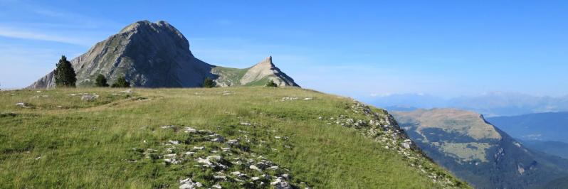 Sur l'épaule herbeuse qui conduit à la cabane des Aiguillettes (Grand et Petit Veymont)