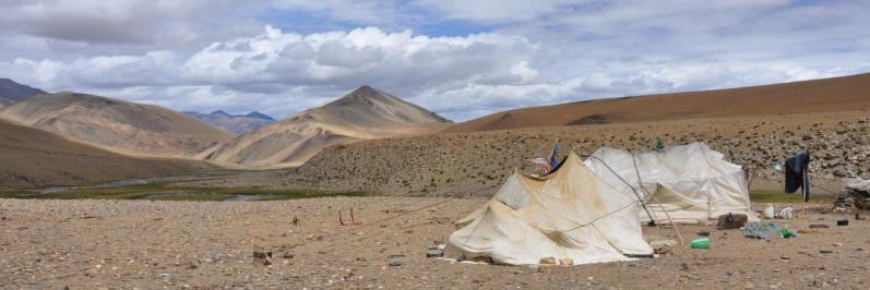 Campement de nomades à Rajun Karu