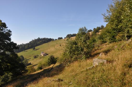 La ferme-auberge du Thanner Hubel