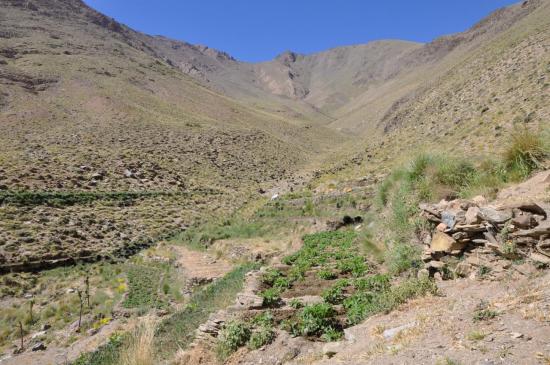 Dans le vallon de Talat n'Rhâ au pied du djbel Imlit