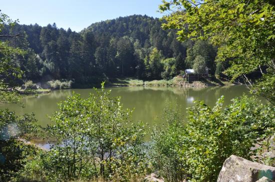 Le lac de Neuweiher