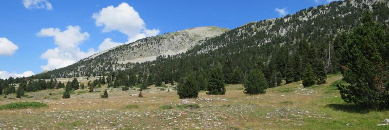 Sur le Pré de la Jasse de la Chau