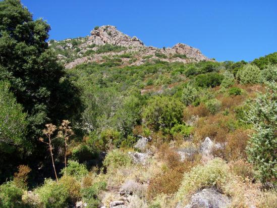 Dans la montée à la bergerie de Bradani depuis Tizzarella