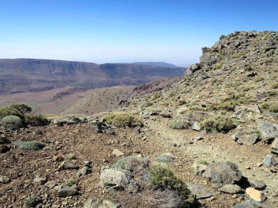 Au tizi n'Taliwine (plateau du Yagour)
