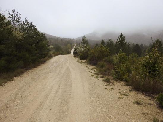 Sur la piste argileuse entre Vénascle et le col de Châteauneul-lès-Moustiers