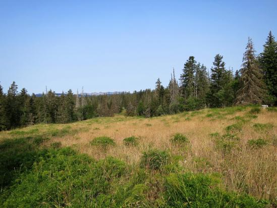 Traversée de la prairie de la Tiolache du Bas