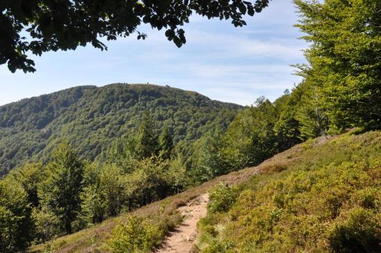 Sur les crêtes, vue sur le Ballon d'Alsace