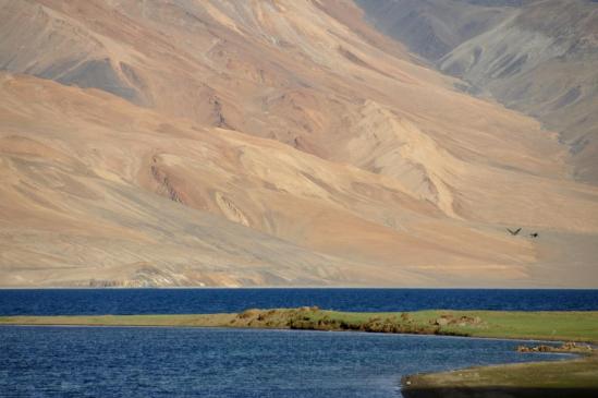 La pointe N du lac du Tsomoriri