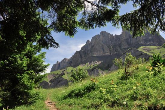 Sur le chemin qui relie Lachat d'en bas et Lachat d'en haut