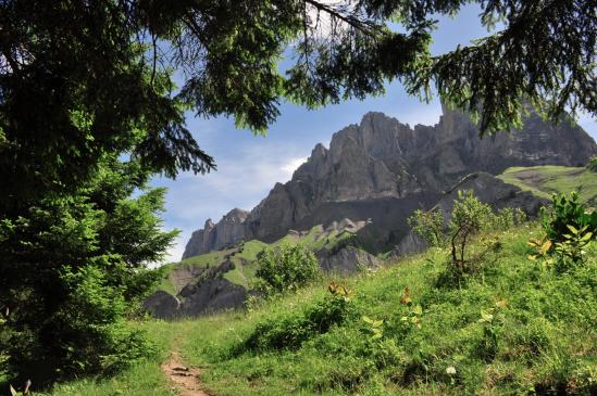 Sur le chemin qui relie Lachat d'en bas et Lachat d'en haut