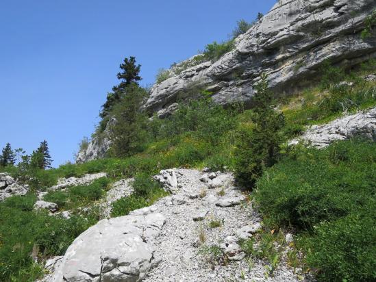 Au mitan du canyon des Erges