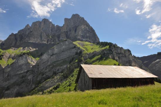 Sous les aiguilles de Varan, Lachat d'en Haut