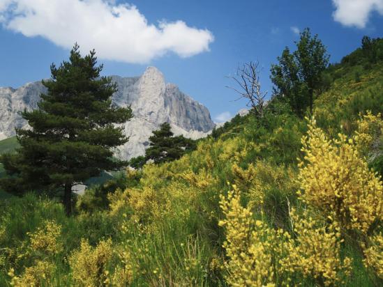 A l'approche du torrent de la Crotte (Pic de Bure)