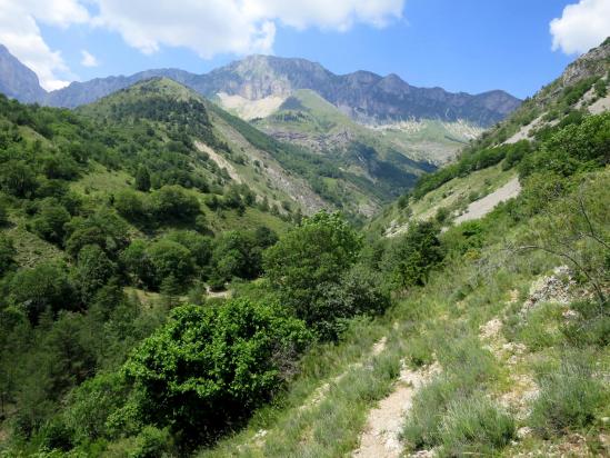 Remontée du vallon du Petit Buëch