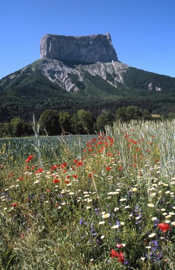 Le Mont-Aiguille sous son plus beau profil vu de la route entre La Richardière et Chichilianne