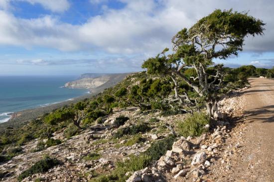 Sur la piste des crêtes près de Tabayat