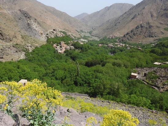 Sur la piste entre Aremd et Aït Souka, vue plongeante sur la vallée verdoyante d'Imlil