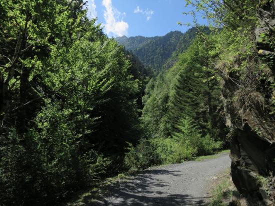 Remontée de la vallée du Moudang