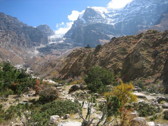 Au pied du glacier NW du Kangguru