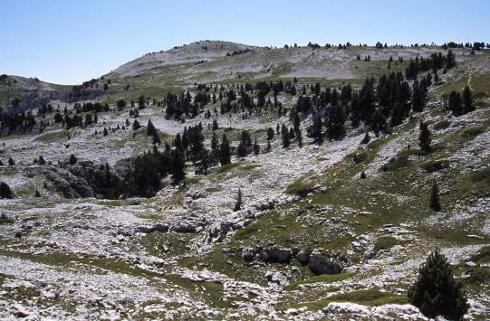 Sur les crêtes de la Montagne du Glandasse