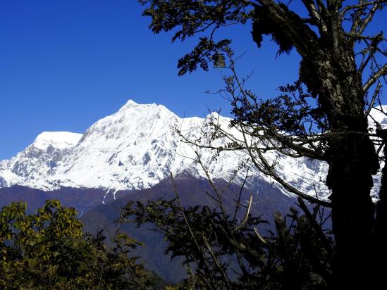 J08Depuis la kharka de l'Hesnam Dhuri, vue panoramique sur le Ghustang, le Gurja himal, le Konabon et le Myagurnath. A l'arrière les Dhaulagiri VI et IV