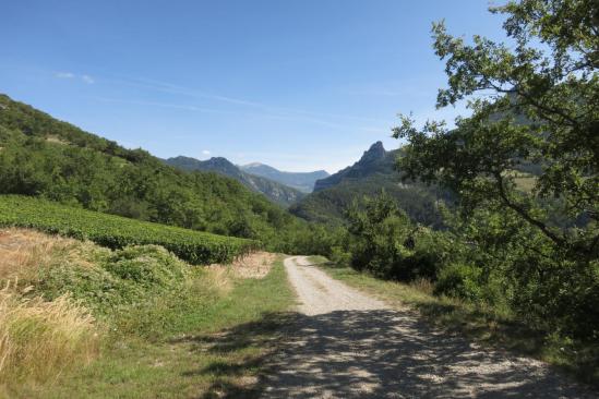 Descente au milieu des vignobles de Saint-Benoit-en-Diois