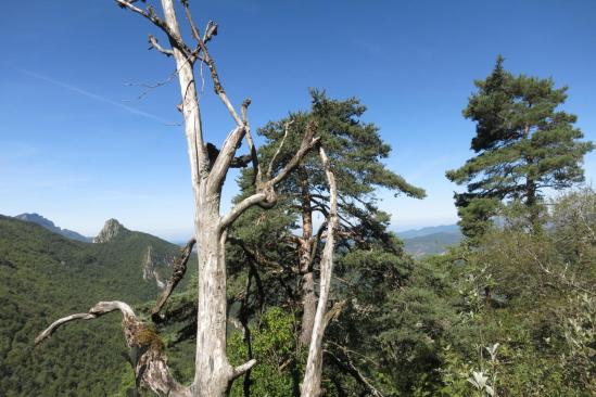 Montée au col d'Espenel