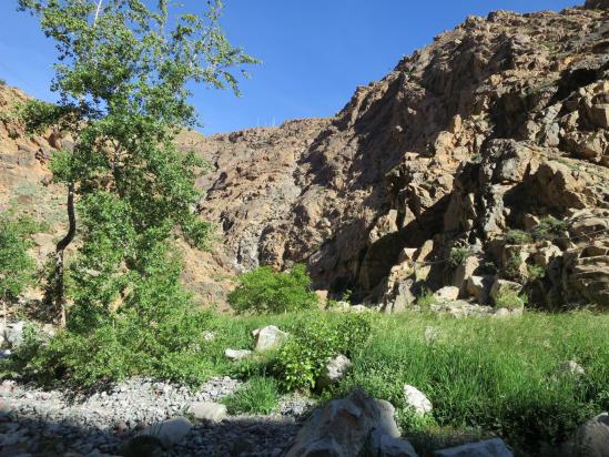 A l'entrée des gorges de l'assif n'Oufra