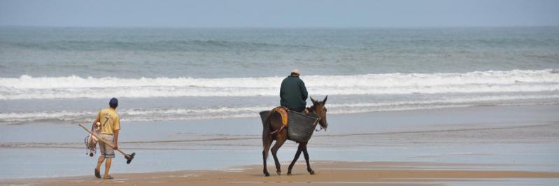 Pêcheurs à pied sur la plage de Sidi M'Bark