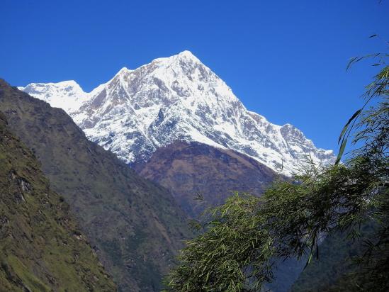 A l'approche de Jeltung, apparition du Dhaulagiri V et du Tsaurabong au fond des gorges de la Myagdi khola