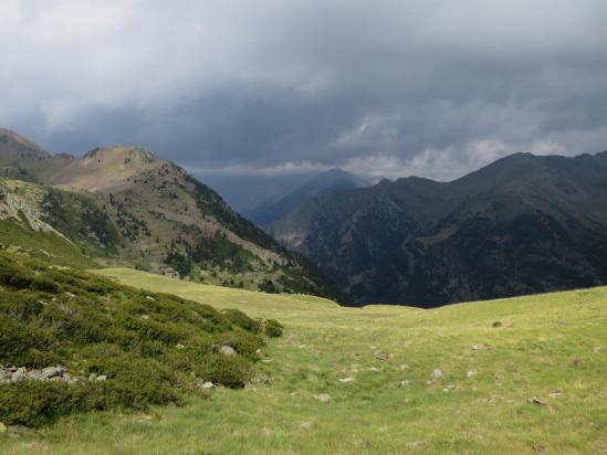 Sur l'alpage de Sierra Plana