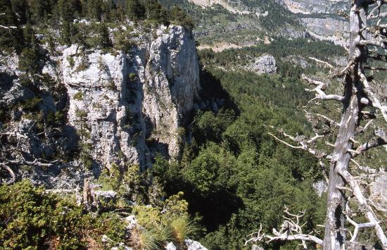 Au cours de la descente vers Benevise