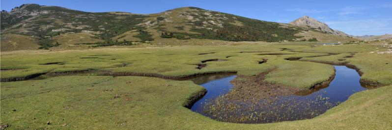 Les pozzi du lac de Nino