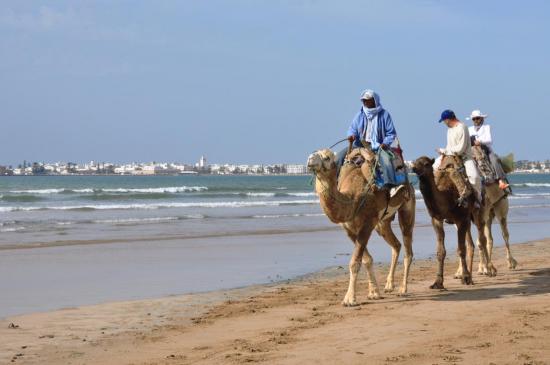 Arrivée par la plage à Essaouira