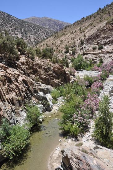 Dans la vallée de l'oued Nfis