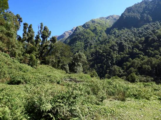 Lipsaba kharka, une possibilité de camp en pleine nature