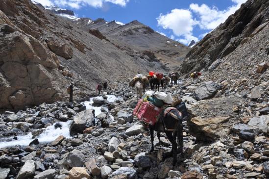 Sur le sentier de montée vers le Pudzong La