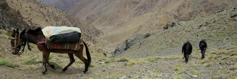 Au tizi n'Oumchichka, arrivée de nos compagnons de route