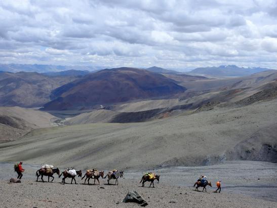 Lors de la descente du Ribil La, on distinue au loin la cuvette des lacs Kyun Tso