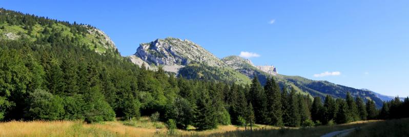 Au collet du Furon, Crête des Crocs, Rochers de l'Ours et Roc Cornafion