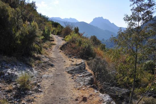 A l'approche de Marignana