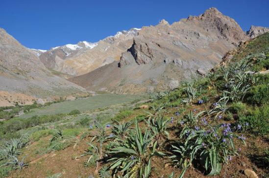 En descendant la vallée de la Borong Togpo