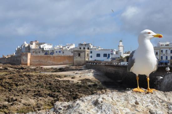 Essaouira