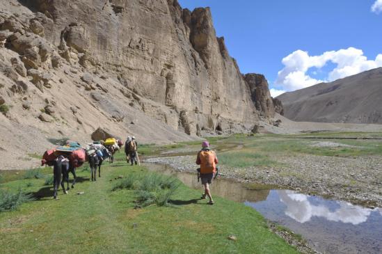 La vallée de la Zara Chu entre Yakru et Sangtha (Zabuk Yogma)